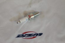 �������� ����� ��������� NGK BR10EG